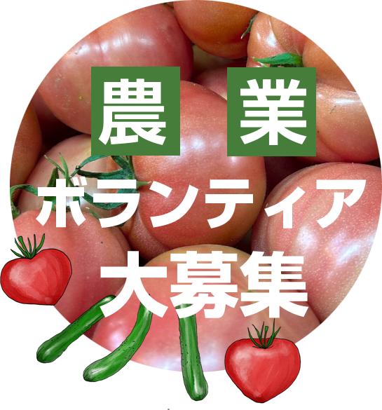 農業ボランティア大募集