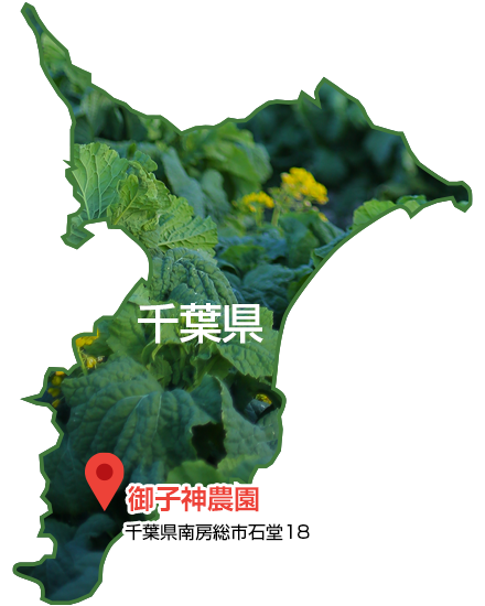 千葉県 南房総市